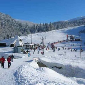 Minibus me shofer nga Tirana në Kolašin
