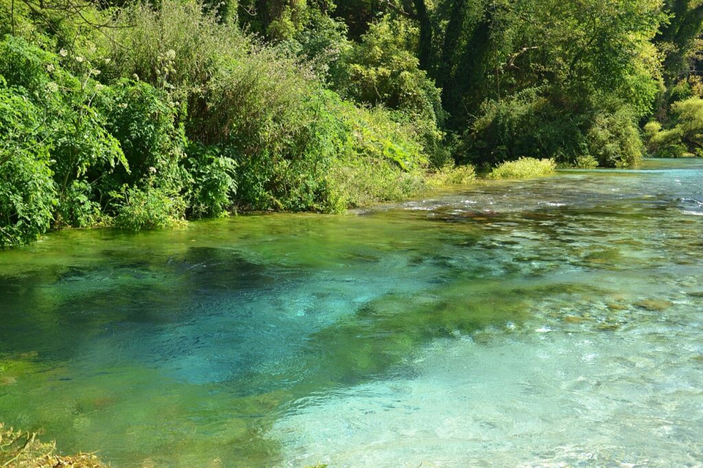 Uji i kaltër i burimit Syri i Kaltër, i rrethuar nga pemë të gjelbra, pranë Sarandës